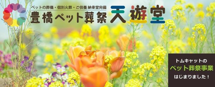 Tenyudo image1